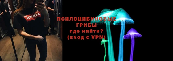 2c-b Верея