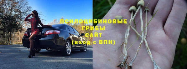 2c-b Верея